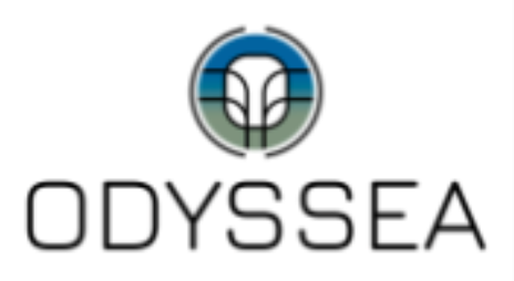 odyssea-coaching.com